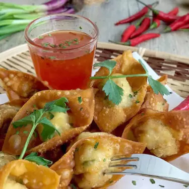 Veggie Wontons (Wonton Vegano)