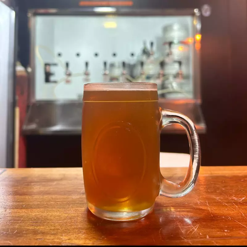 DOUBLE IPA CONCEIÇAO 300 ML