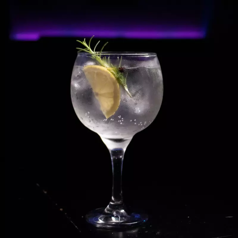 Gin Tônica