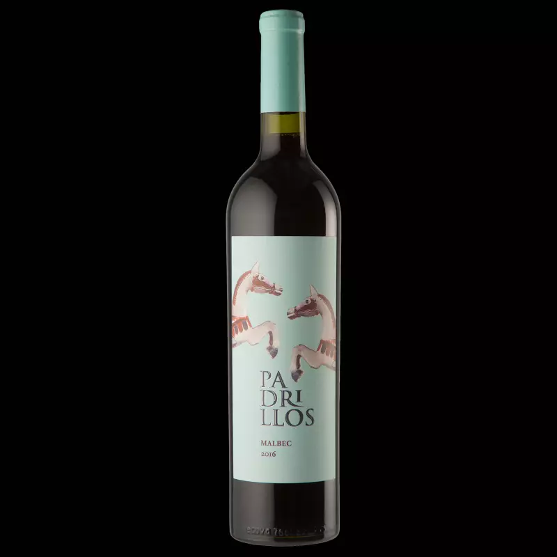 Padrillos Malbec Ernesto Catena V