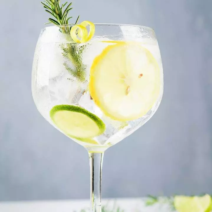 GIN TONIC