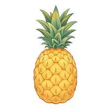 JUMBO HAWAIANA