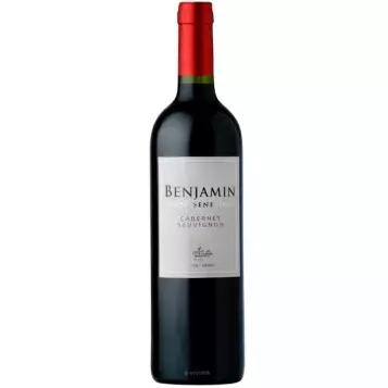 Benjamin Nieto Senetiner Cabernet Sa