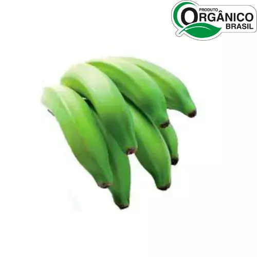 Banana Nanica Orgânica