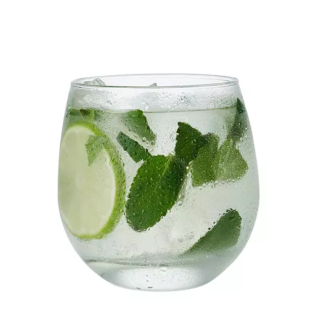 Mojito Shico