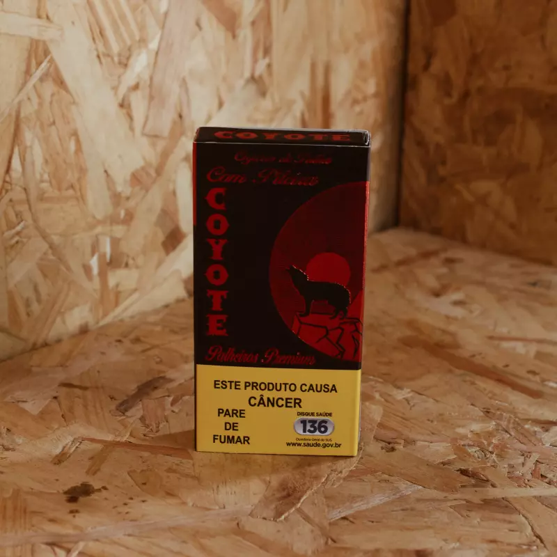 Coyote c/ Piteira