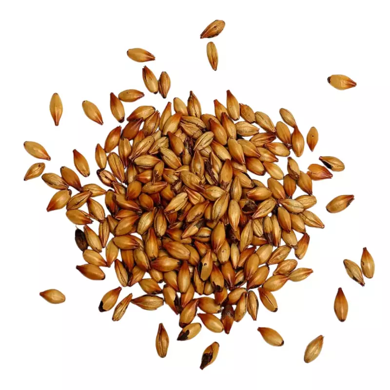CEBADA RUBIA 400GR