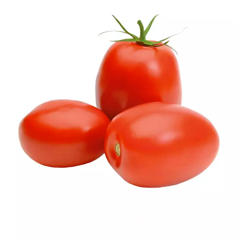 Tomate