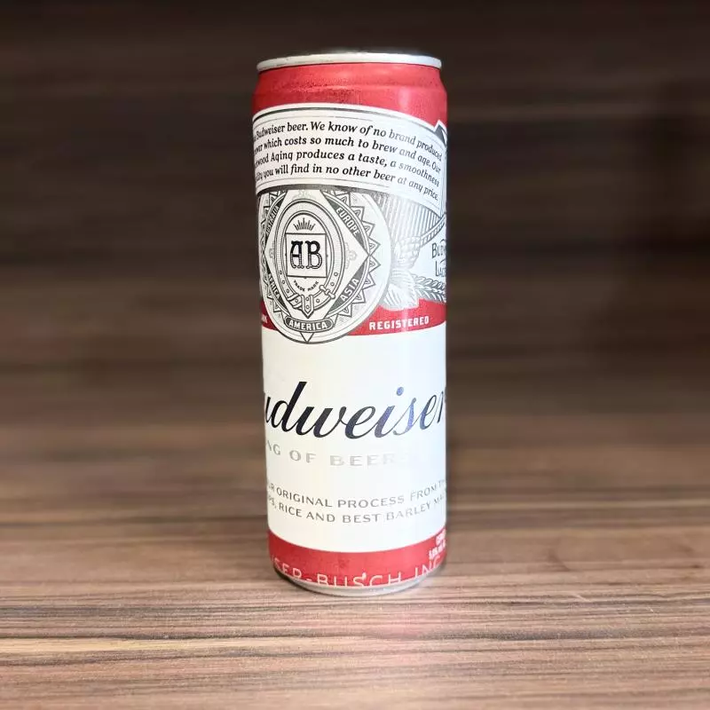 Cerveja Budweiser LT