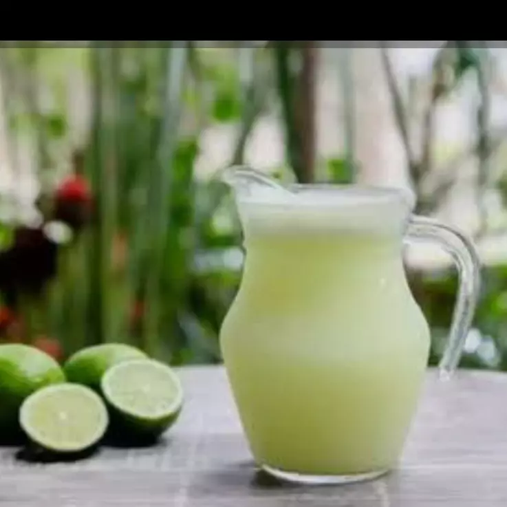 Suco de limão jarra 500ml