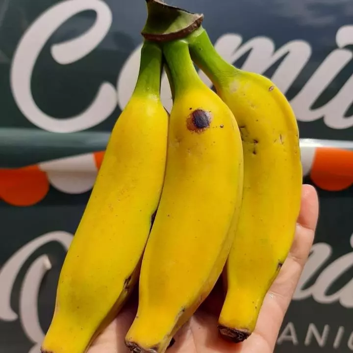 Banana prata - kg
