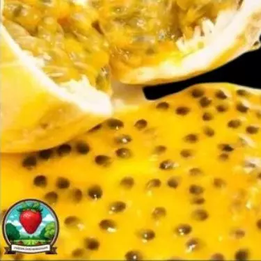 Polpa de maracuja 1kg