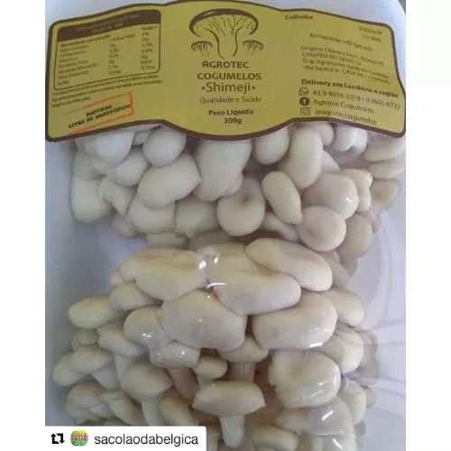 Shimeji Branco 200g