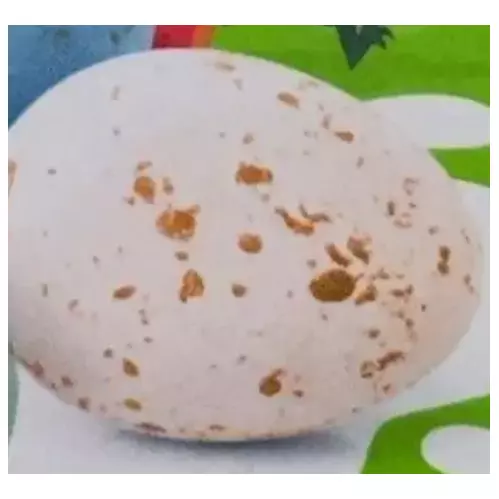 HUEVOS CHOCOLATE
