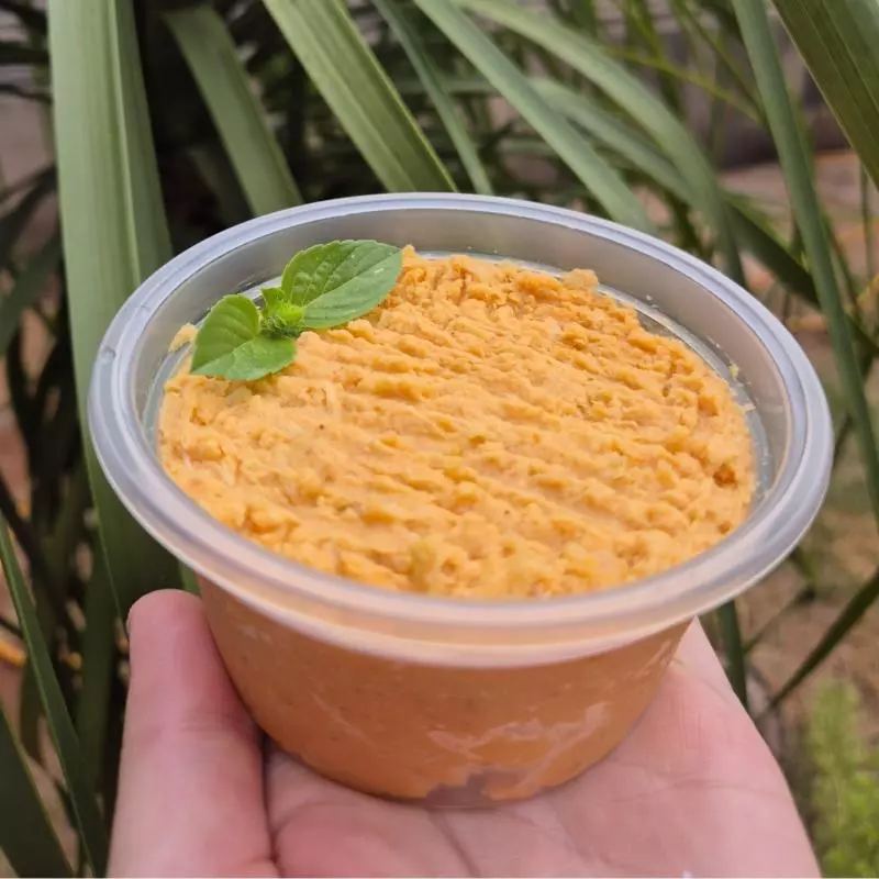 Paté de frango sem leite 200g