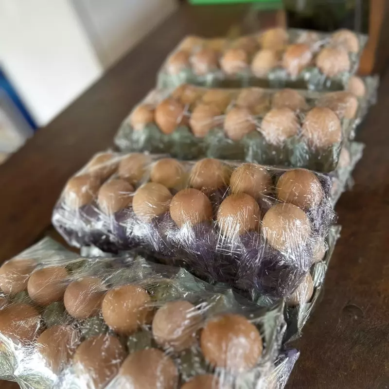 Ovos caipira dúzia
