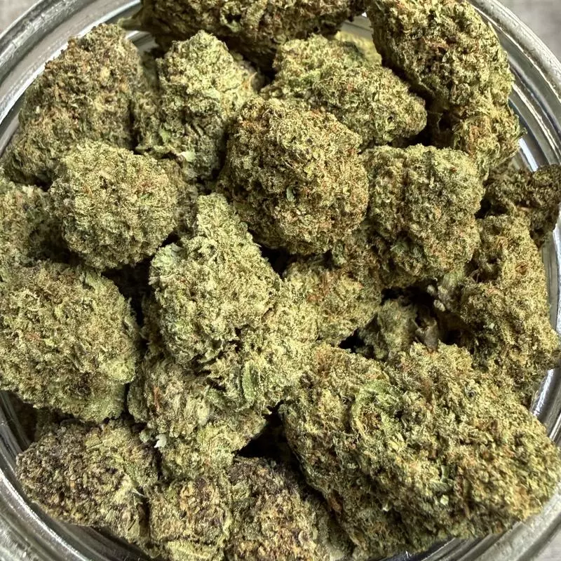 Exotic Genetic Milk’D (H-Sativa)