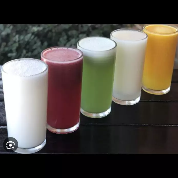 Suco de polpa s / leite 500ml