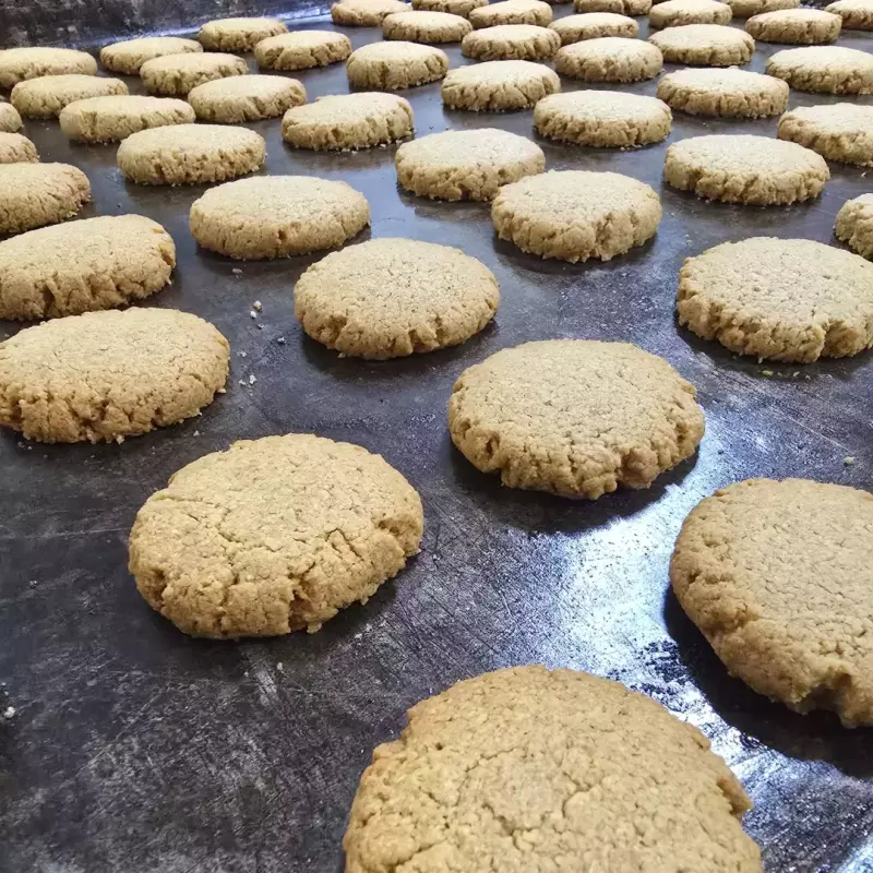 Biscoito LOW CARB c/ Coco c/ 3 unid.