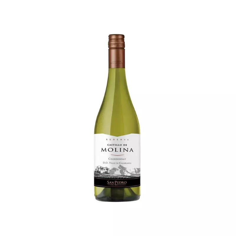 Vino Castillo de Molina Chardonnay 1