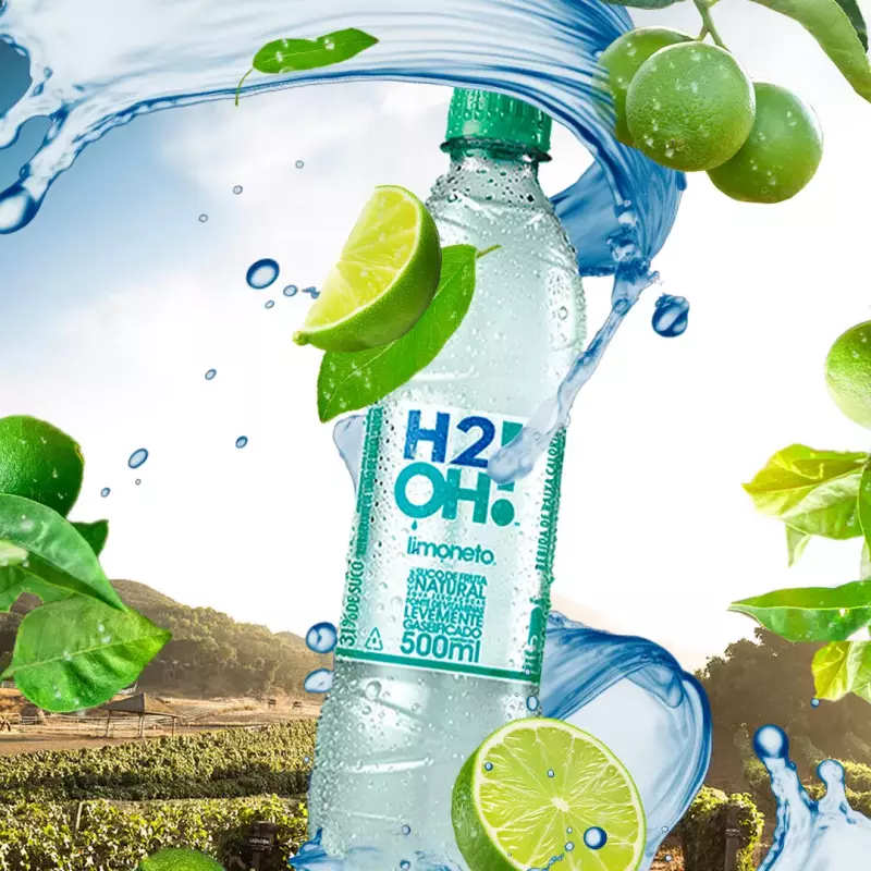 H2O