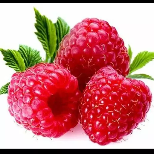 Frambuesa Rosada Europea x125gr