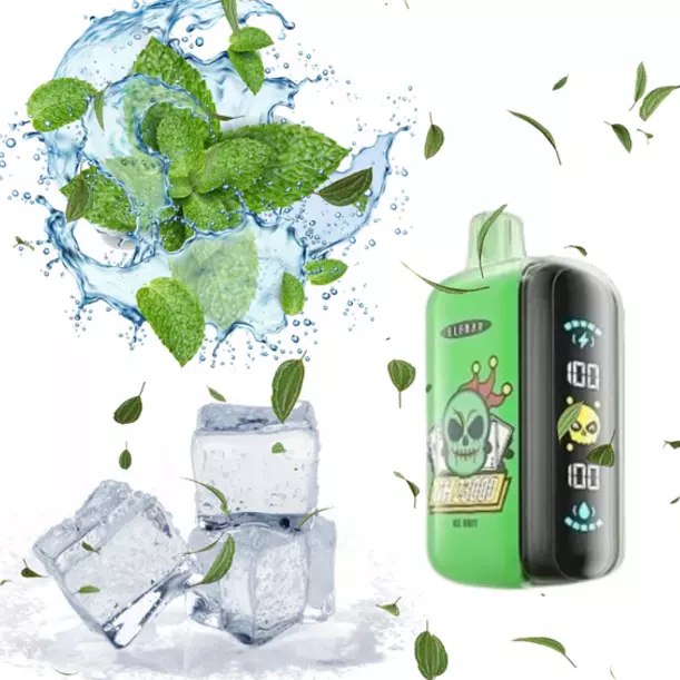 Elfbar GH 23000 - Ice Mint