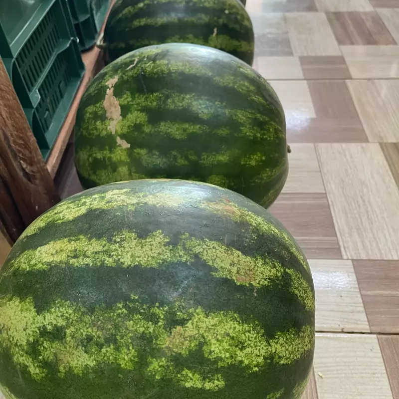 Melancia grande