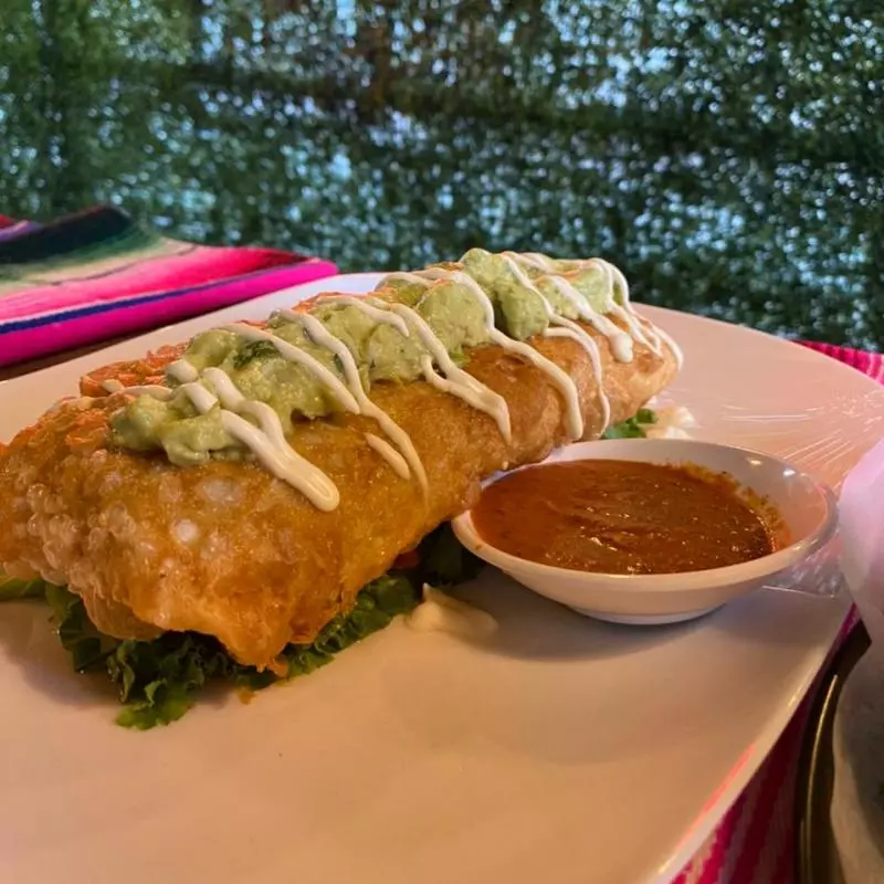 Chimichanga de Birria