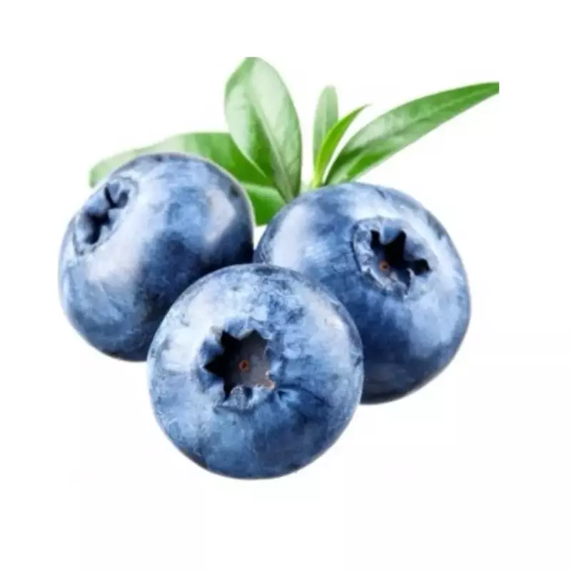 Arándanos Morados (4 onzas)