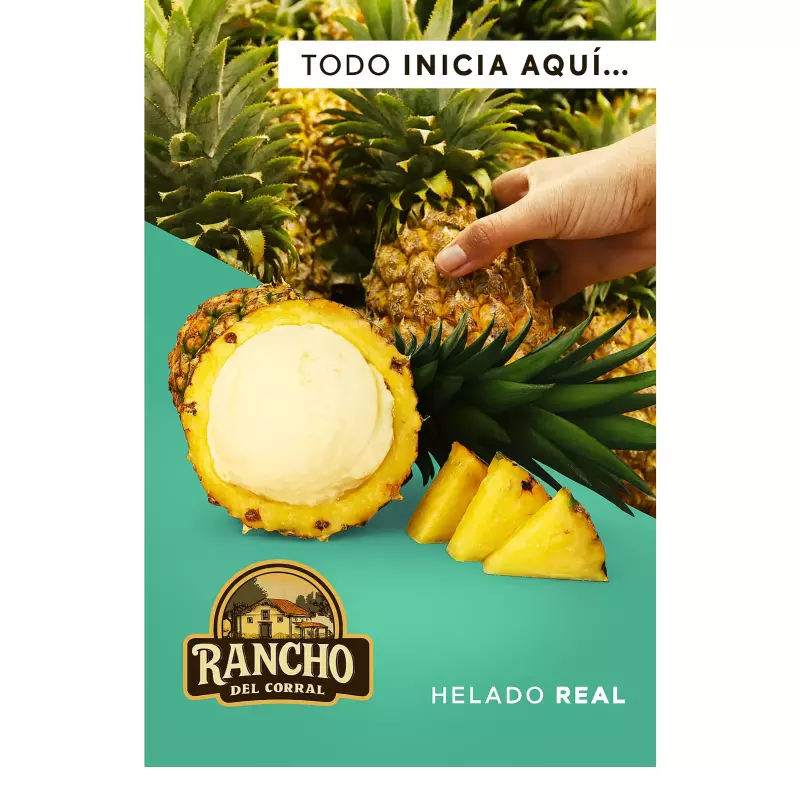 🍧 DSY Nieves Frutales en Cáscara