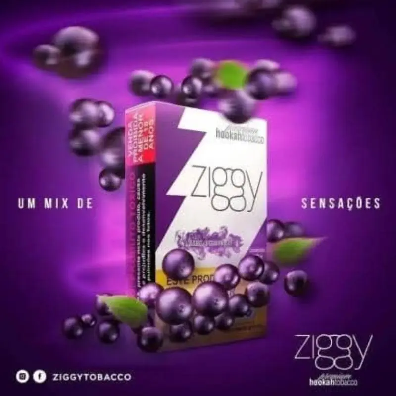 Zgy Fresh Açai