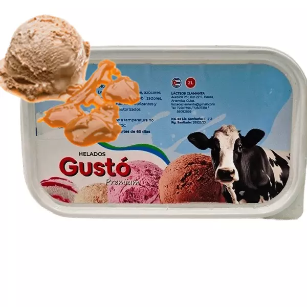 Helado de Dulce de Leche 2L