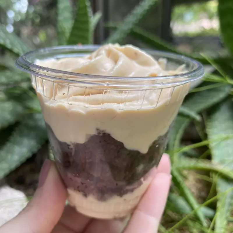 Browninho Lowcarb congelado