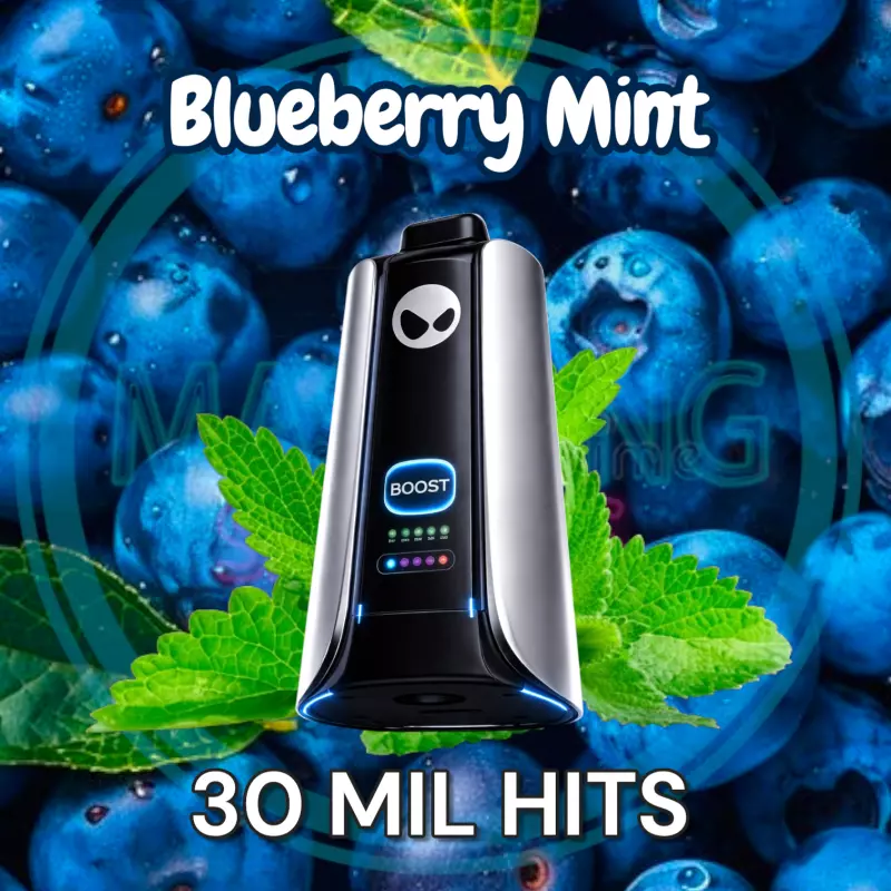 Blueberry Mint