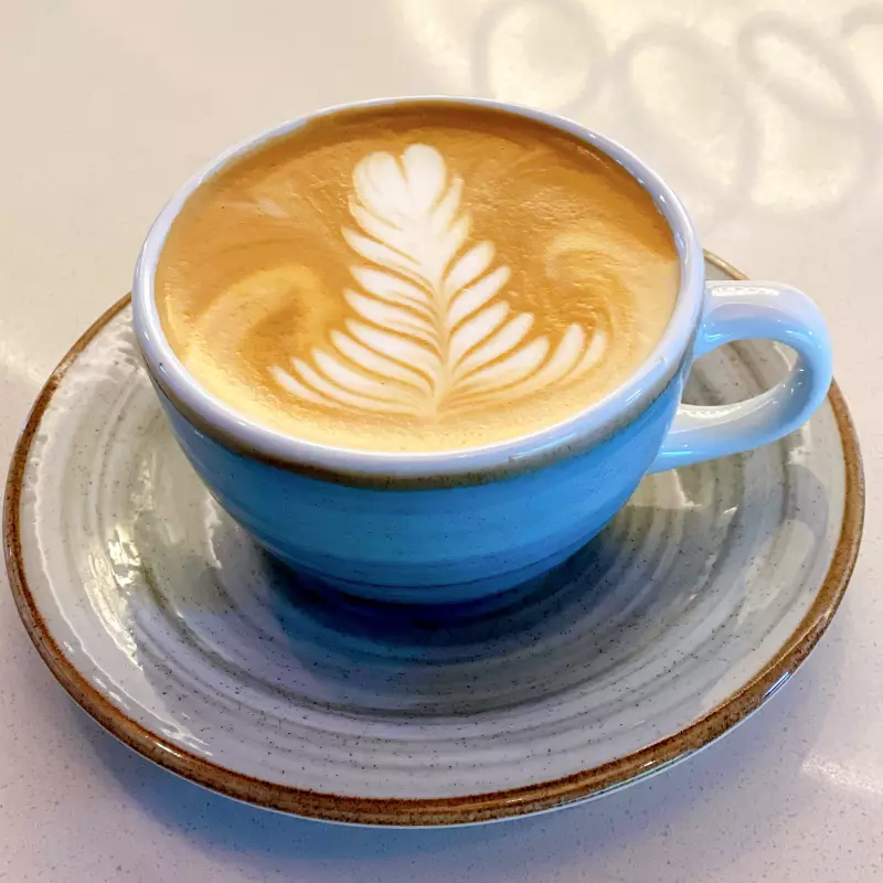 Capuccino