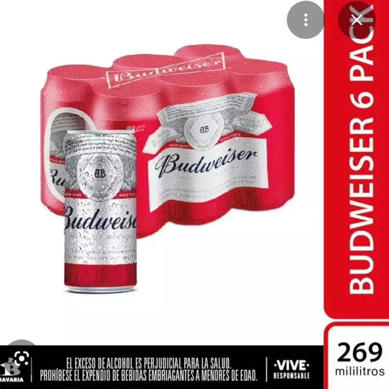 Sixpack Budweiser