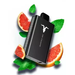 Ignite v8000 grapefruit mint