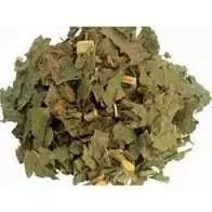 Guaçatonga