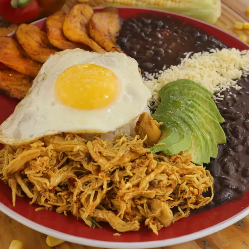 Pabellón de Pollo