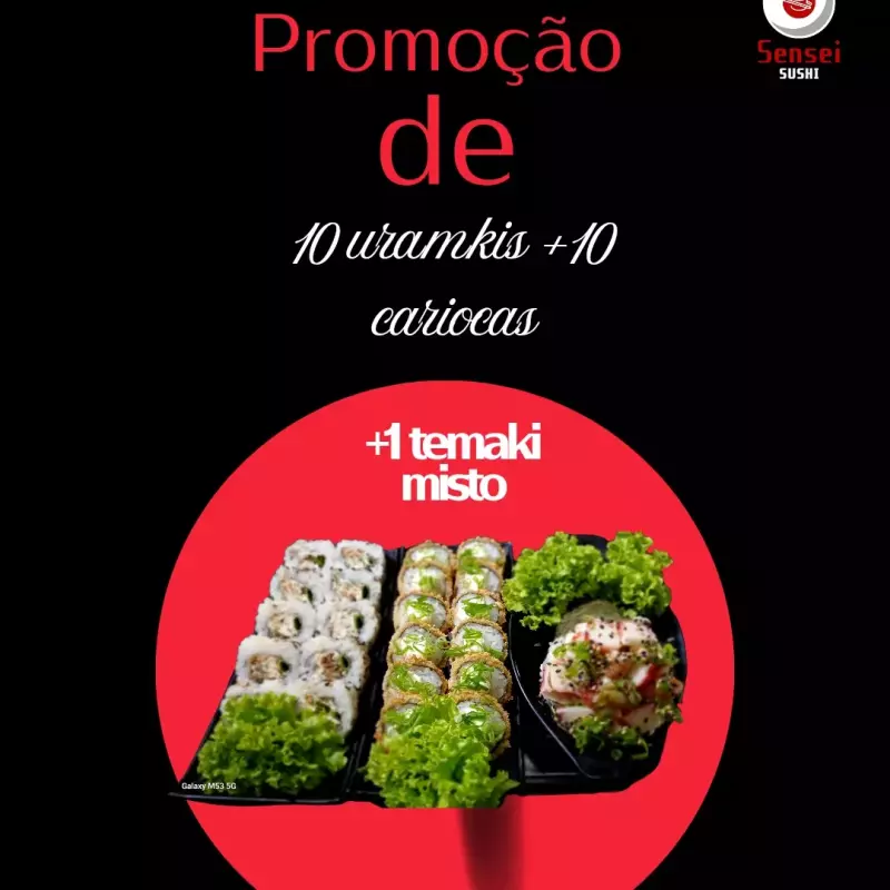10URAMAKI +10CARIOCA+1TEMAKI MISTO