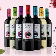 Gato negro