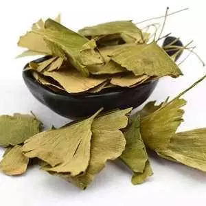 Gingko Biloba