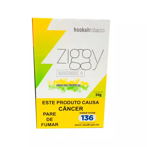 ZIGGY ABACAXI TROPICAL