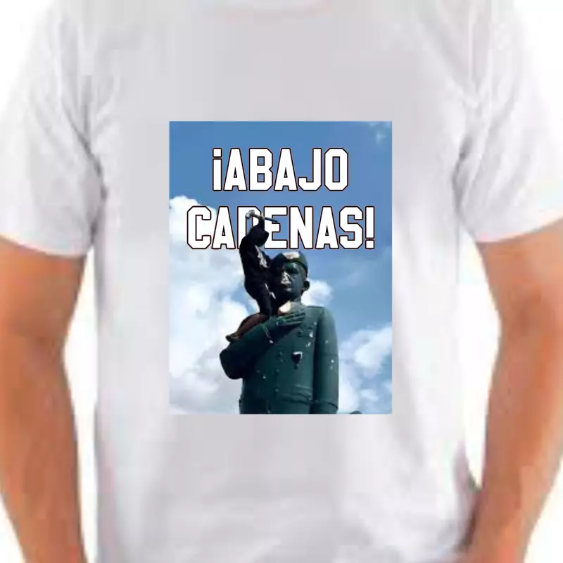 Franela Vzla Foto estatua 002