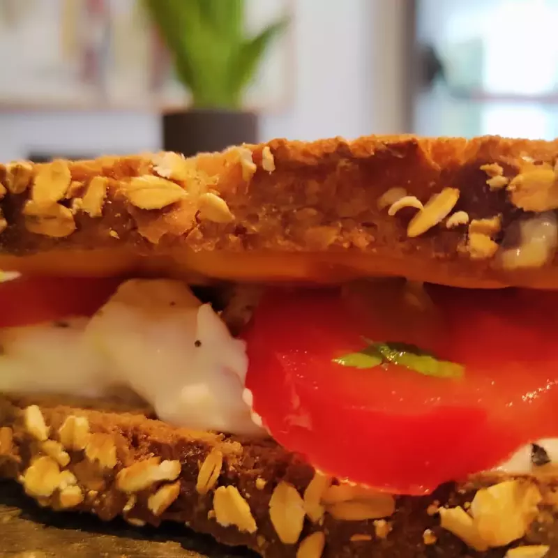 Tuna melt sandwich