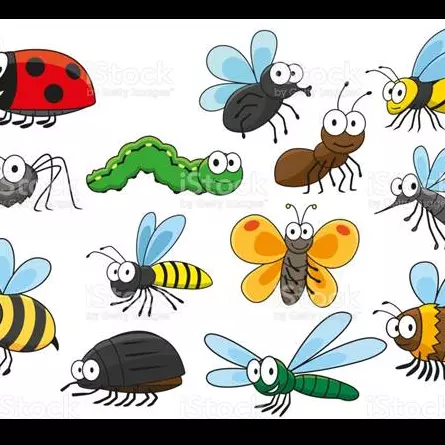 Comida nos apartamentos