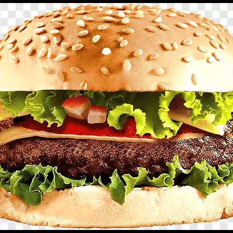 Cheese Burguer
