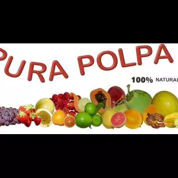 Suco de Fruta polpa 300 ml