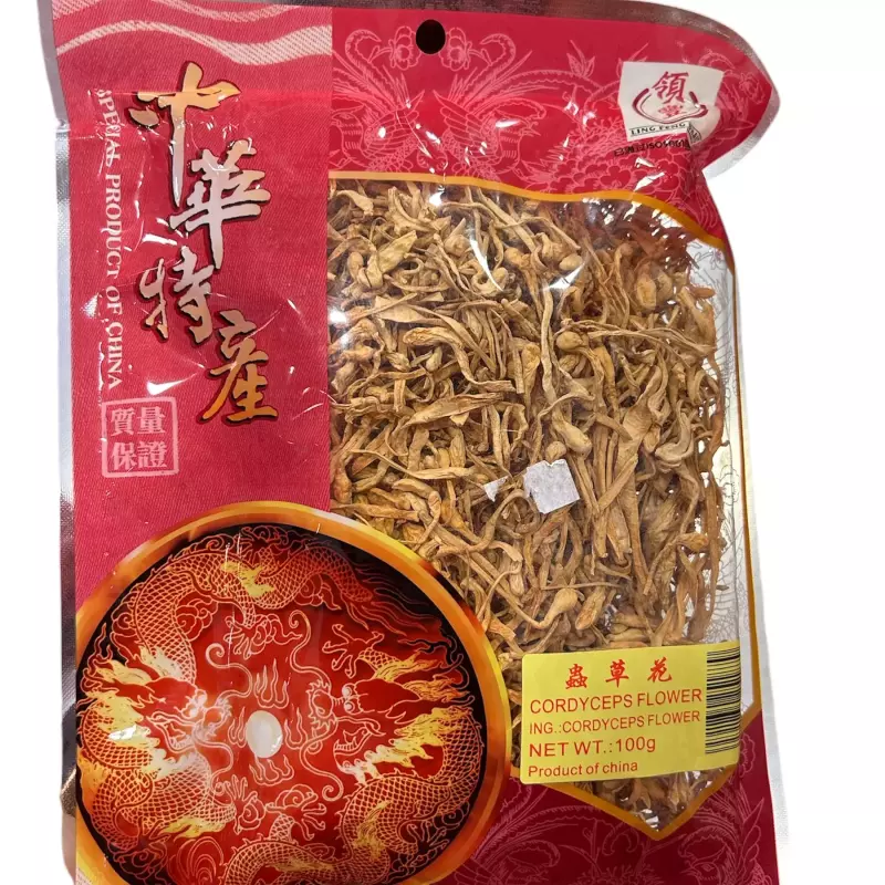 虫草花 cordyceps flower